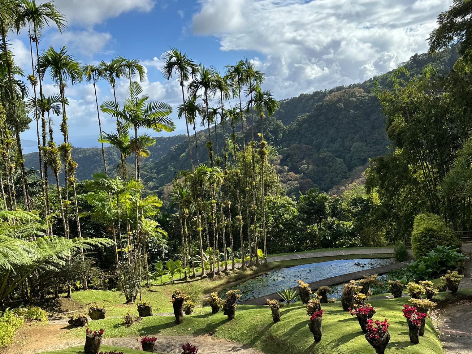 Ponctualité garantie