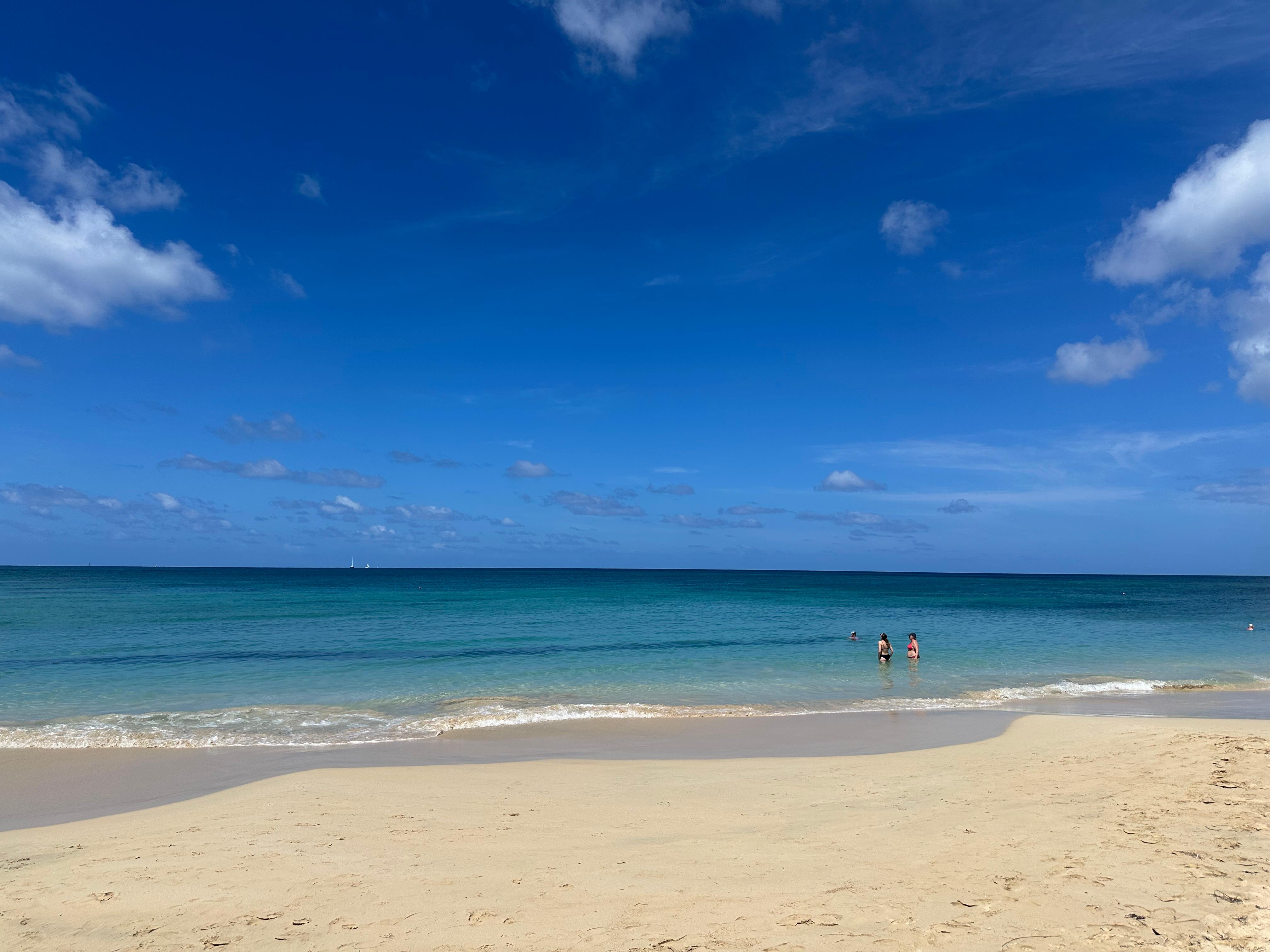 Service médicalisé